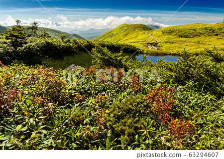 秋葉和假繞線機在山坡上的視圖 63294607