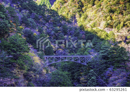 [Shizuoka Prefecture] Autumn Sumata Gorge Walk @ Hiryubashi 63295261