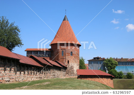 Kaunas Castle 63296597