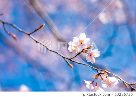 Kumano, Mie Prefecture 63296736