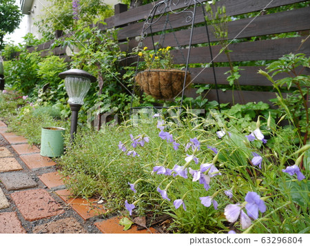 七月的綠色花園 63296804