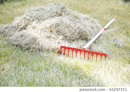 Dried grass Thatching 63297351