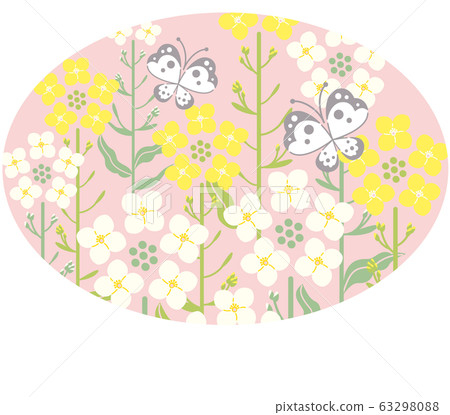 Rape blossom butterfly pink background oval illustration Rape blossom butterfly pink background oval illustration 63298088