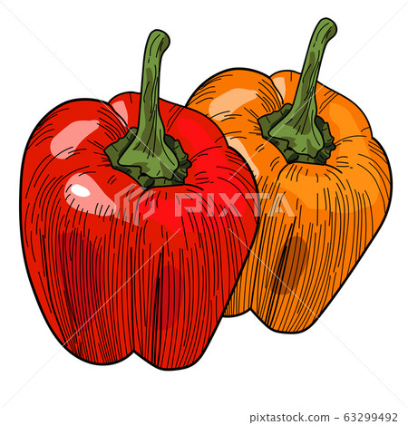 Coloful peppers, illustration, vector on white background. 63299492
