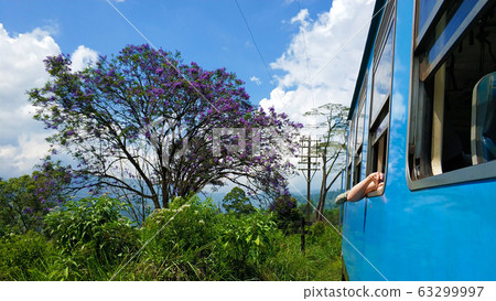 Passenger train with tourists rides through the Passenger train with tourists rides through the 63299997