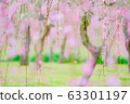 梅花樹 63301197