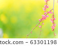 梅花樹 63301198