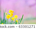 梅花和水仙花 63301271