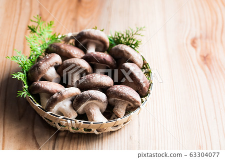 香菇 香菇 63304077