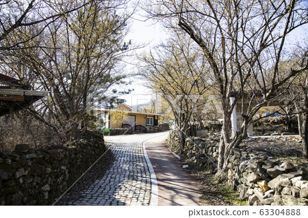 Stone wall path with cornus trees 63304888