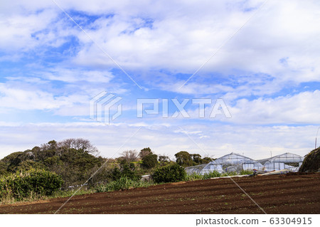 農業用地 農業用地 63304915