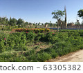 Islamic garden 63305382