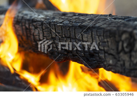 burning tree and flames 63305946