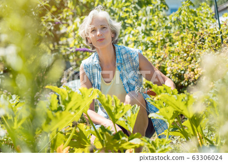 Senior woman working in her garden 63306024