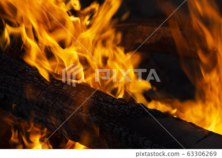 burning tree and flames 63306269