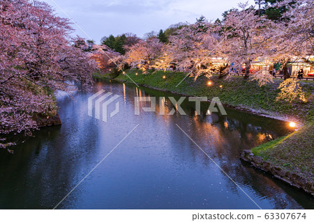 A scene from Hirosaki Castle cherry blossoms Ohashi Bridge light up 63307674