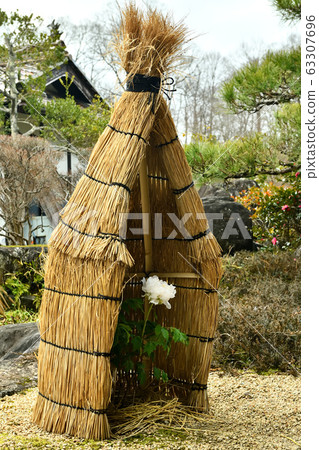 Winter button in Bihoku Hillside Park, Hiroshima Prefecture 63307696