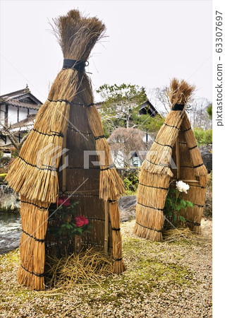 Winter button in Bihoku Hillside Park, Hiroshima Prefecture 63307697