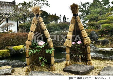 廣島縣美北山坡公園的冬季按鈕 63307704