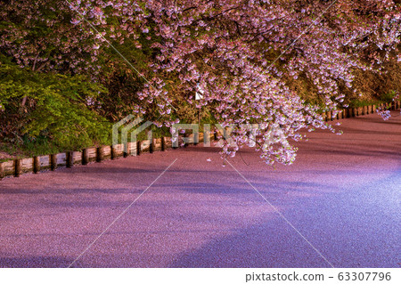 Hirosaki Castle Flower Pot Flowerlight up 63307796