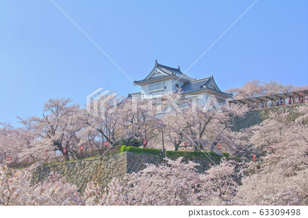 [岡山縣]津山城盛開 63309498