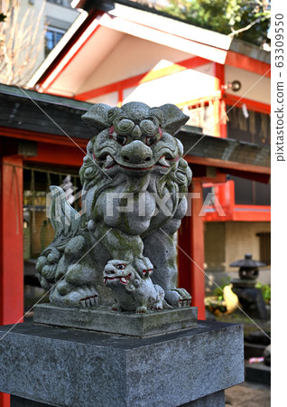 Child rooster dog 63309550