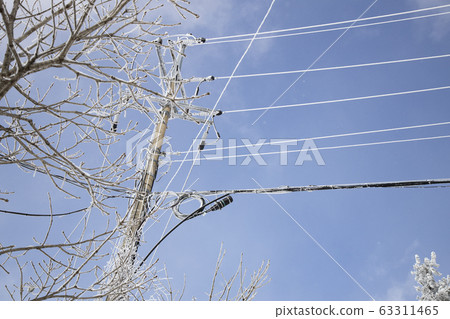 在桿上綻放的平台 63311465