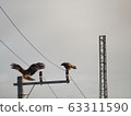 A flying Tonbi and a Tonbi that controls it 63311590