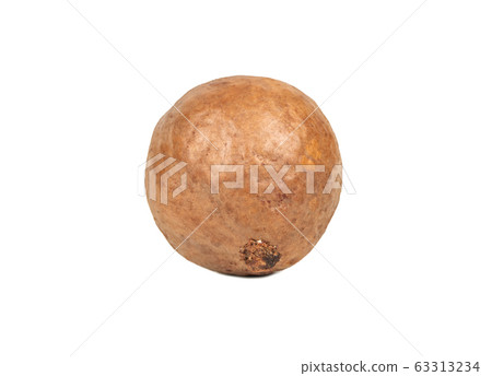 Macadamia nut in shell Macadamia nut in shell 63313234