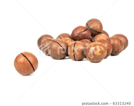 Macadamia nuts in a shell Macadamia nuts in a shell 63313240