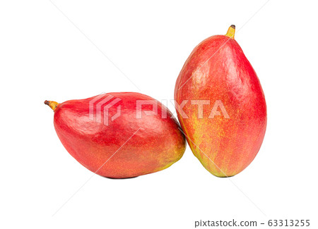 Two mango fruits Two mango fruits 63313255