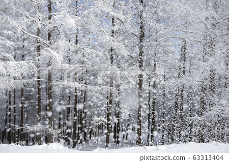 Hambaeksan的冬天樹木與雪 63313404