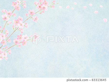 Background material Sakura Sakura Somei Yoshino Background material Sakura Sakura Somei Yoshino 63313645
