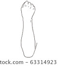 [人體插圖系列]手臂 63314923
