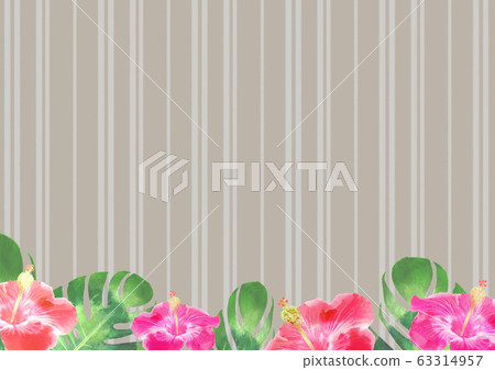 Hibiscus stripe background material Hibiscus stripe background material 63314957