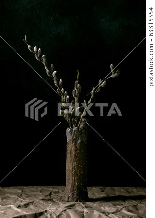 Blossom willow branches 63315554