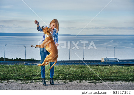 A young blonde girl is training a dog of the breed 63317392