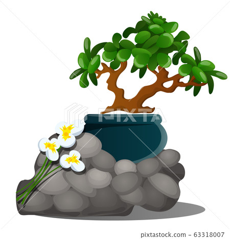 A beautiful composition of grey stones, a miniature potted tree bonsai and fresh spring flowers of daffodils isolated on white background. Vector cartoon close-up illustration. A beautiful composition of grey stones, a miniature potted tree bonsai and fresh spring flowers of daffodils isolated on white background. Vector cartoon close-up illustration. 63318007