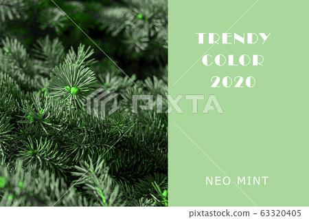 Christmas tree branches in Neo Mint color. Juicy 63320405