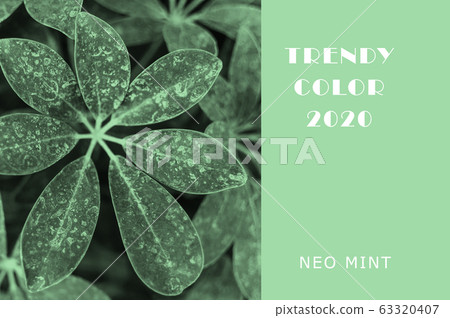 Plant in color Neo Mint. Juicy tones in a new mint 63320407