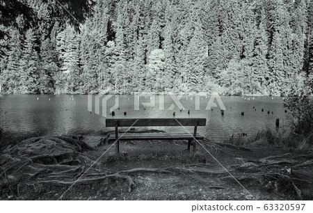 Once you got up at mountains and realise Life is so beautiful. Once you got up at mountains and realise Life is so beautiful. 63320597