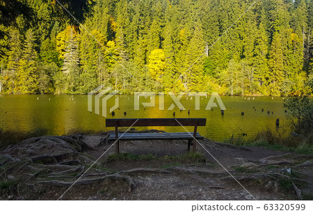 Lacu rosu lake and bench for best seeing 63320599