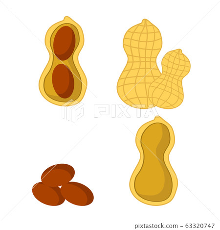 Tasty Peanut Set Isolated on White Background. Nut Seeds 63320747