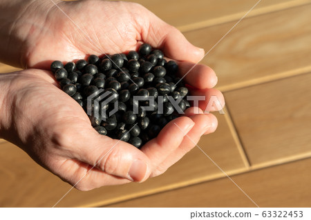 Black beans black soybeans beans hand (female) 63322453