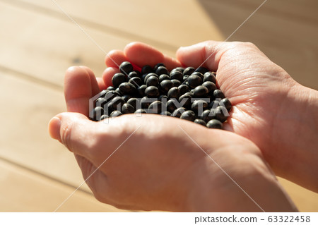 Black beans black soybeans beans hand (female) 63322458