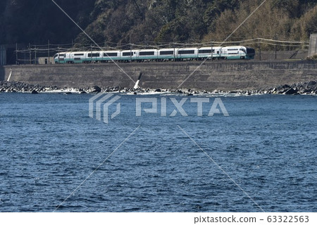 Series 251 Super Odoriko going near Inatori on the Izukyu Line 63322563