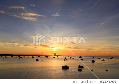 伊拉克西部島和澤田海灘的日落 63324205