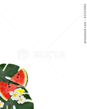 背景夏季西瓜蒙大拿州雞蛋花白色背景 63324481