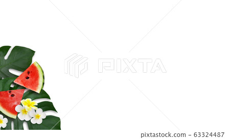 背景夏季西瓜蒙大拿州雞蛋花白色背景 63324487