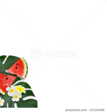 背景夏季西瓜蒙大拿州雞蛋花白色背景 63324490